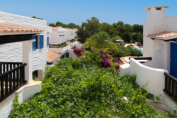 Paraiso de los pinos